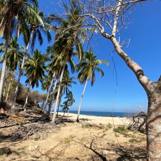 secluded remote beach vacations, los chonchos eco preserve, Jalisco, Mexico