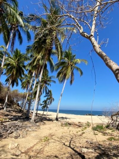 secluded remote beach vacations, los chonchos eco preserve, Jalisco, Mexico